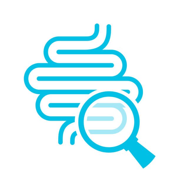 Human colon medical examination vector icon isolated on white background