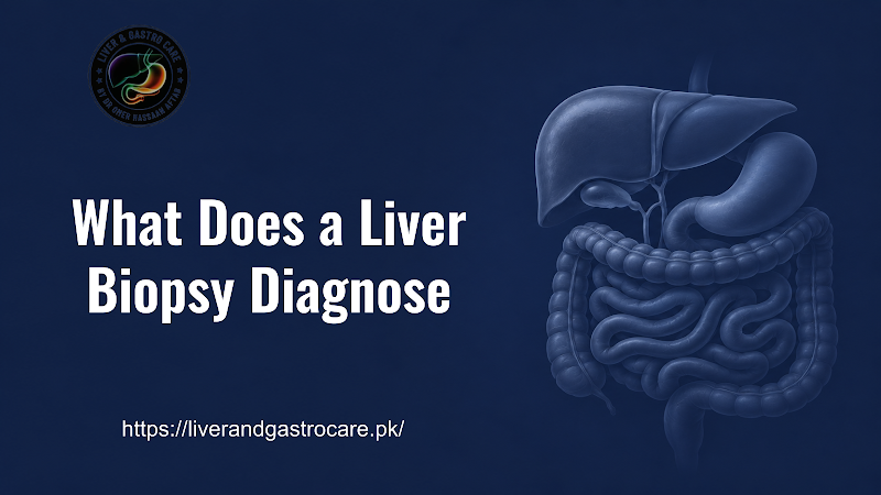 What Does a Liver Biopsy Diagnose