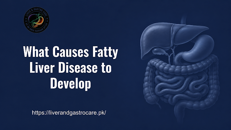 What Causes Fatty Liver Disease to Develop