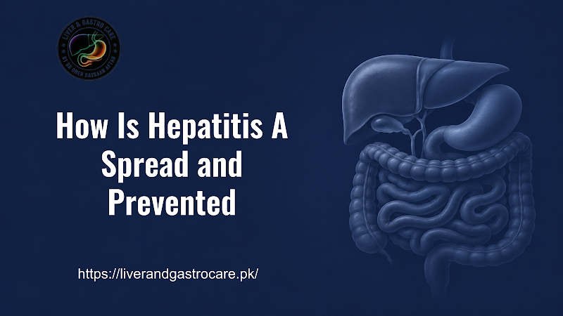 How Is Hepatitis A Spread and Prevented